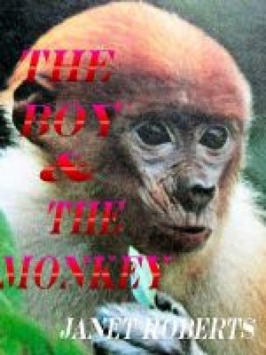 cover image of The Boy & the Monkey